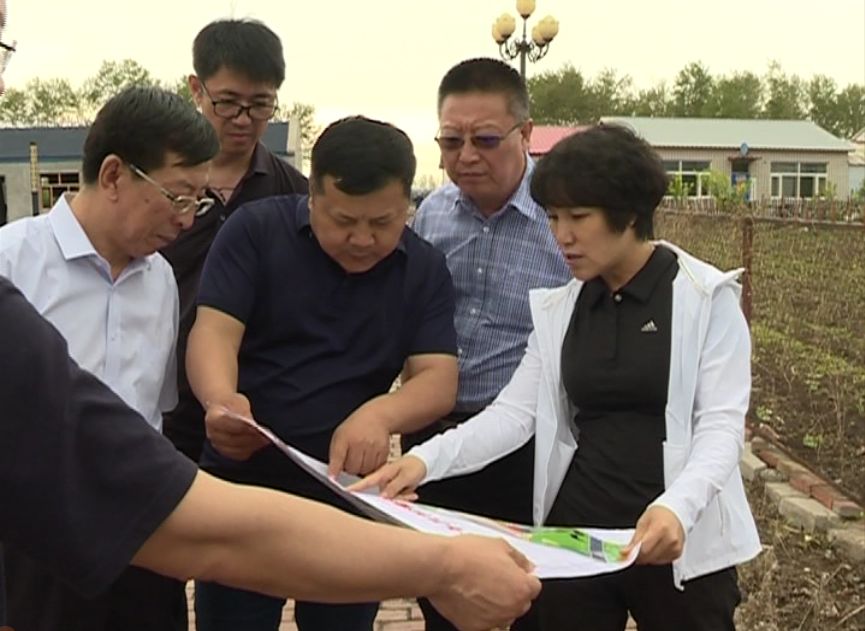 安达发布要闻安达市委书记刘淑芬走特色发展之路推进城乡融合发展