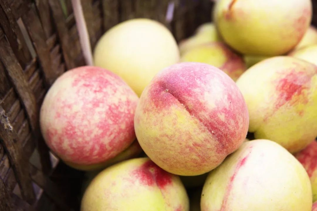 毕节的红花桃熟啦!口水好来