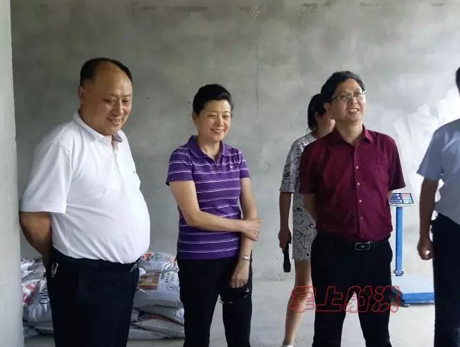 6月12日,市人大常委会副主任施瑞昶带领市调研组相关人员来到我县,实