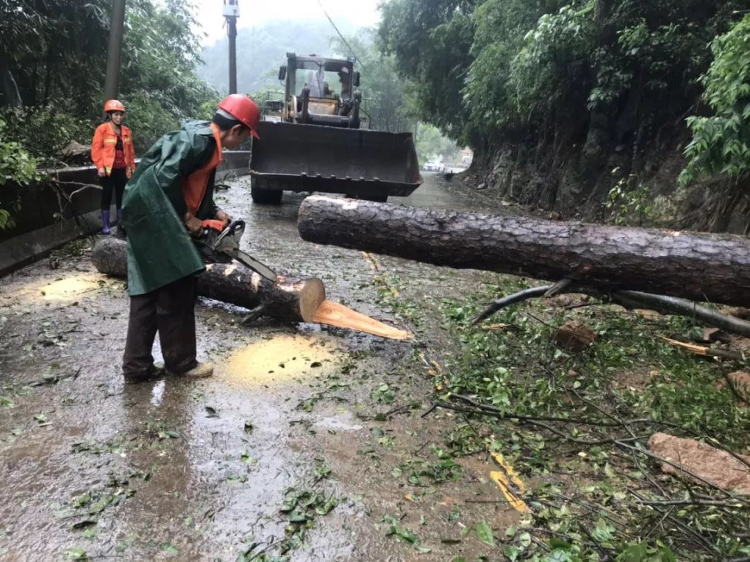 公路安全土石溜方大树拦路橙衣战士及时出动