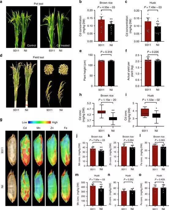 镉(cadmium,cd)是毒性最强的重金属之一,在土壤中具有较强的化学活性