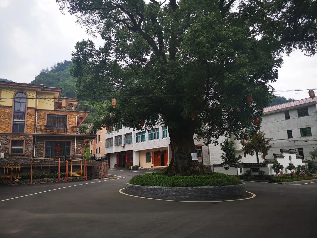 观摩找差距学习促提升三单乡组织软弱后进村外出参观学习