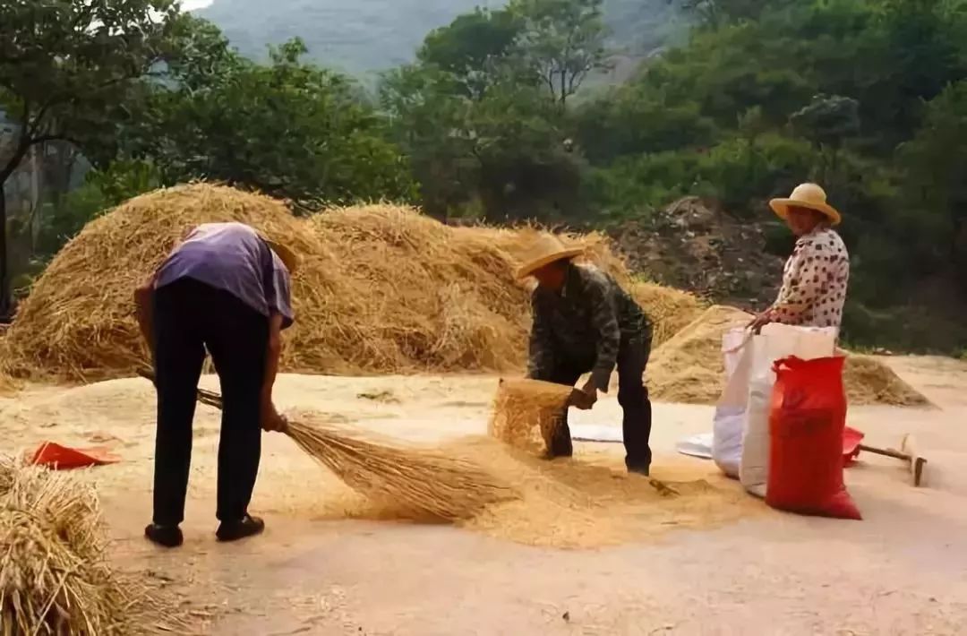 传承打麦场的句子,打麦诗词七律,记忆中的打麦场(第5页)_大山谷图库