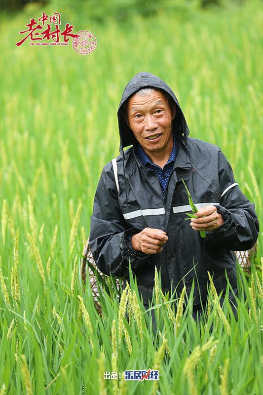 中国老村长|对话兴国县和平村张练功