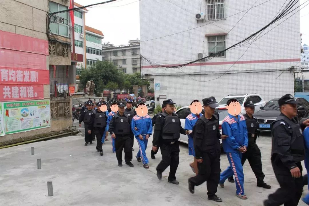 2018年7月至8月,专案组精心组织开展抓捕行动,一举将苏某,梁某,李某等
