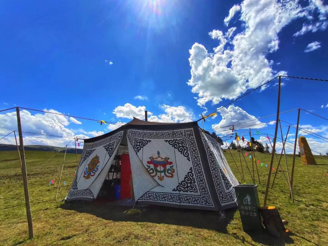 芳草萋萋的草原上散落着一顶顶精致华美的帐篷,绘画纹样充满藏式特色
