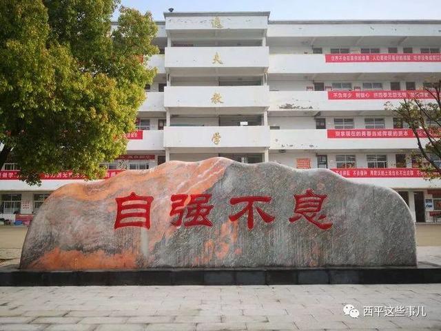 西平高中2019招生简章