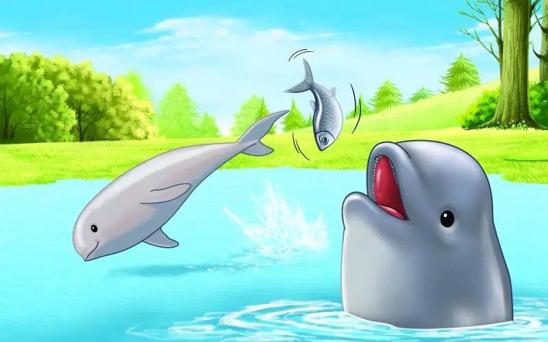 中国著名山水画家曾刚创作小精灵画展维妙维肖_江豚