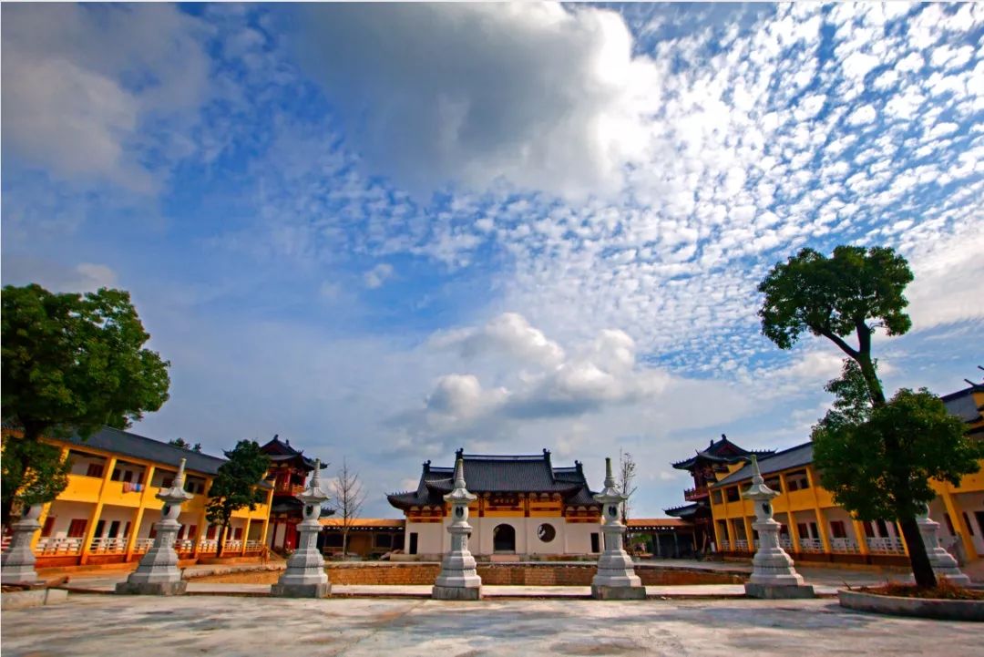 乡村振兴看泰顺讲解员大赛飞行小镇魅力西旸