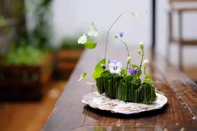 diy花艺推荐 : 夏日清凉茉莉▽