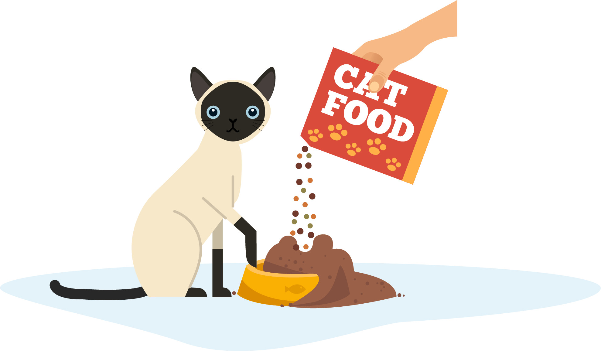 自由采食vs定时定量到底哪种喂食方式对猫咪才最好