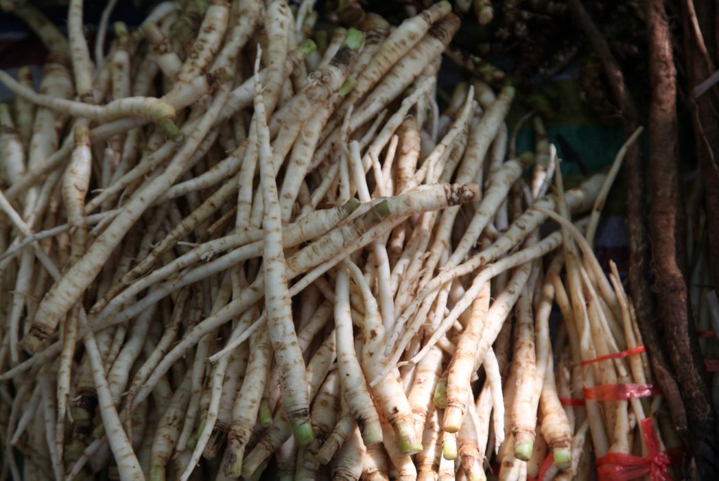 第七届端午百草根美食文化旅游节精彩回顾
