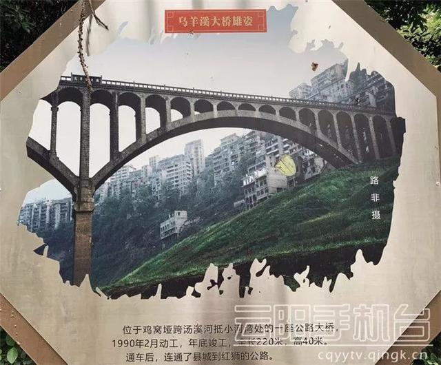 如果你是出生在雲陽老縣城的娃三板橋,大橋溝,小河口.