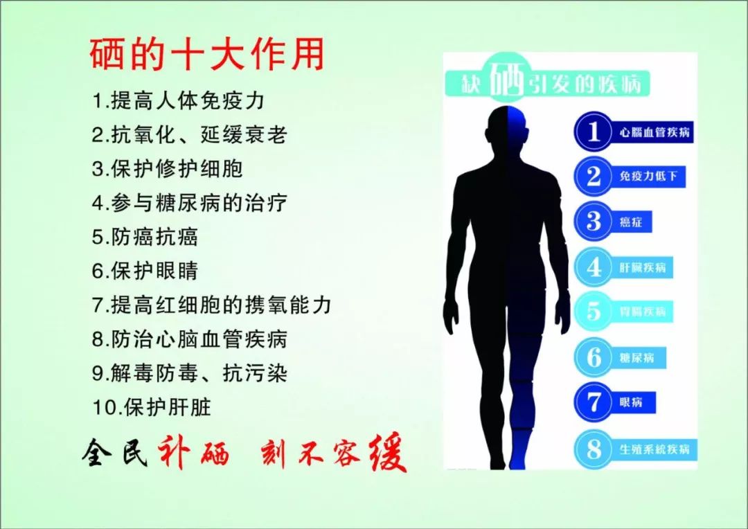 2,硒能参与糖尿病治疗,缺硒可引起一些胰岛细胞合成及分泌胰岛素功能