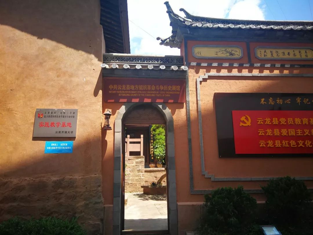 超声舌位采集系统：现代医疗的新风尚