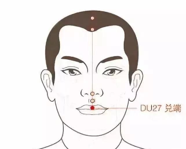 兑端穴位位置标准定位:兑端穴在面部,当上唇的尖端,人中沟下端的皮肤