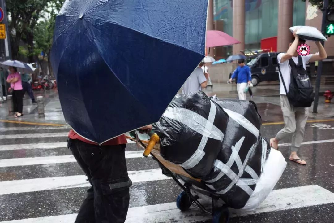 服装人的字典里没有假期二字不管刮风下雨总是坚守在一线