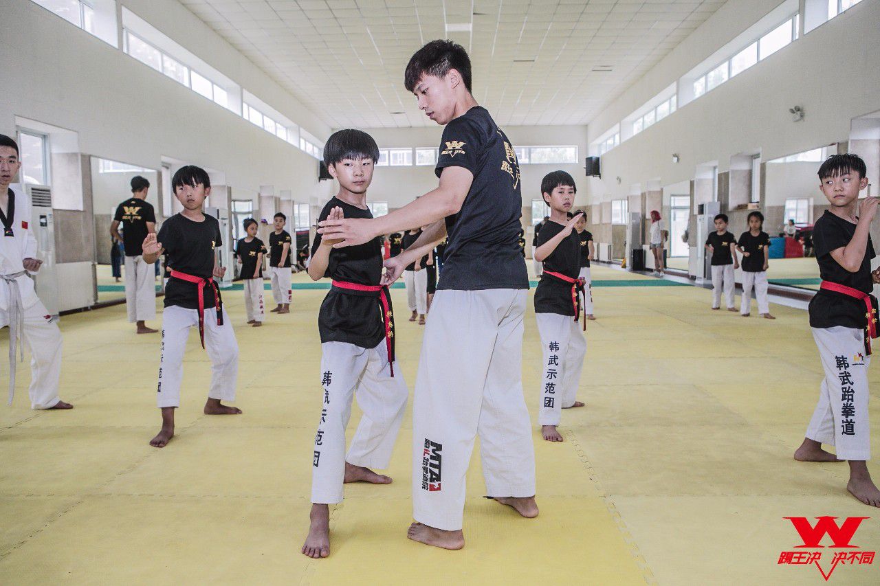 踢王决自学跆拳道能不能学好