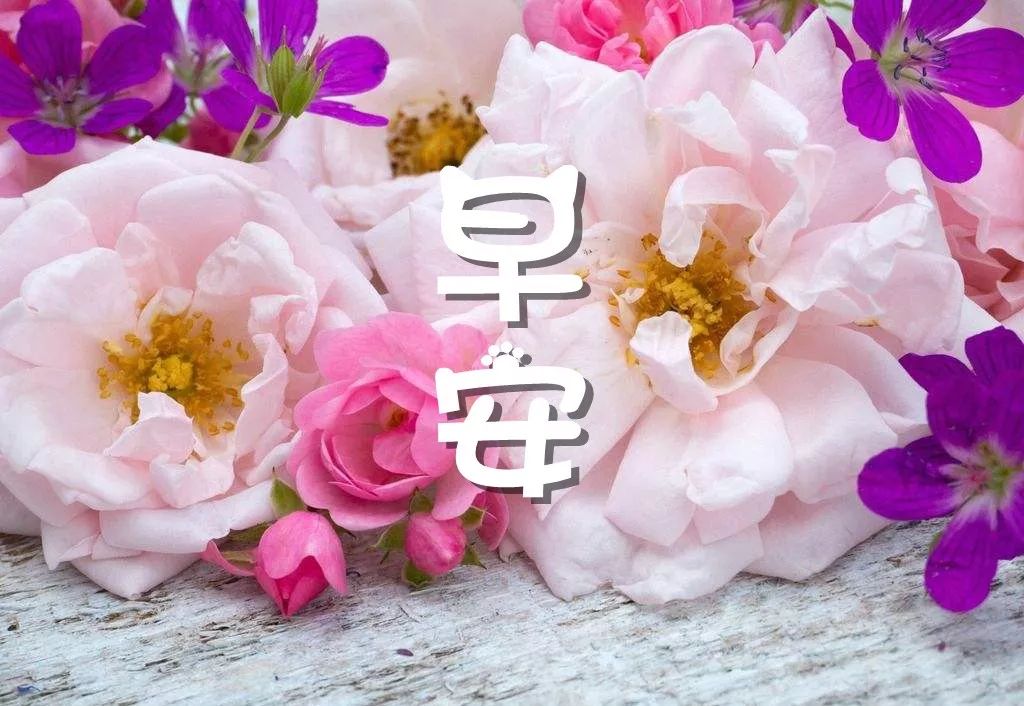 早安心语图片新版漂亮的早晨问候语图片大全