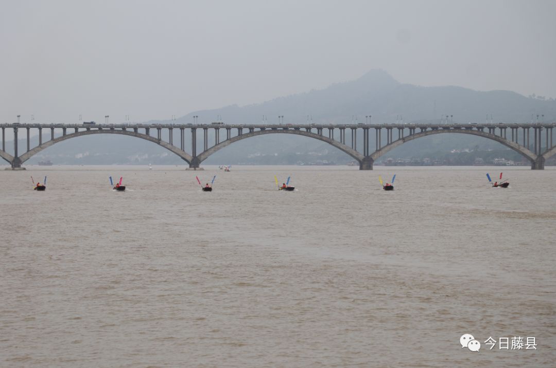 千人快闪万人传唱藤县西江河上首现快闪活动
