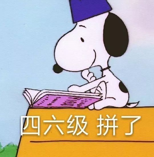 希望对方给予帮助介绍自己在英语学习中遇到的问题表达想要过四级的