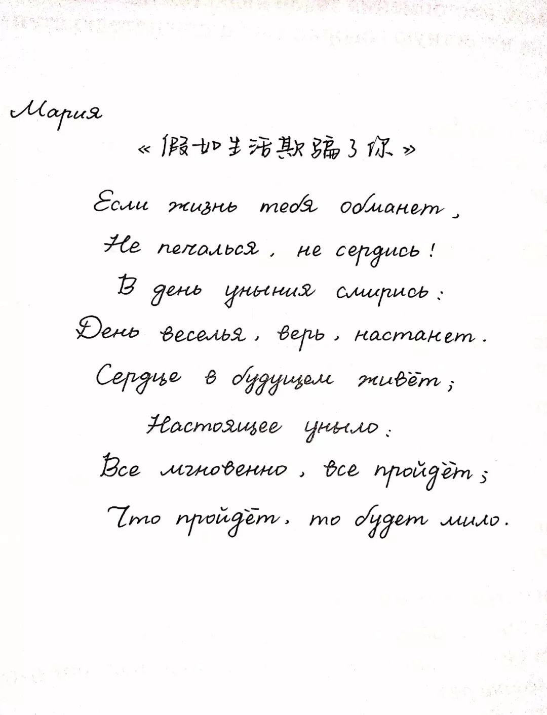 普希金诗歌俄语书法大赛投票第四组