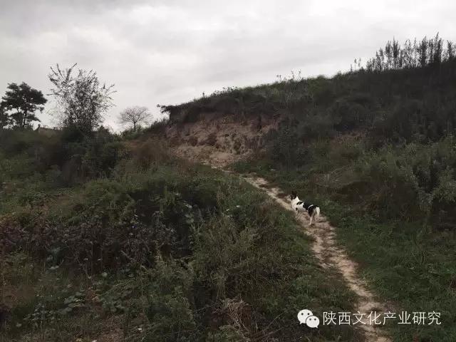 原创长安文王灵台遗址