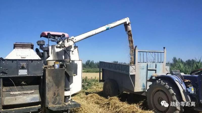 阿拉甫乡塔孜洪乡麦浪滚滚机器轰鸣满载收获好美责编:董文慧编辑:古丽