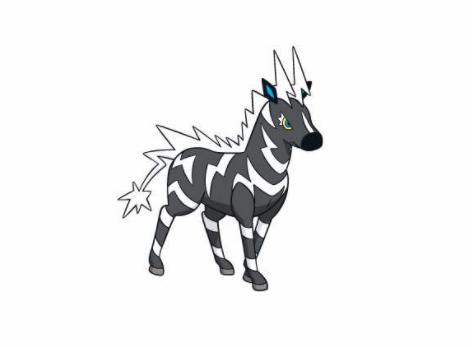 精灵宝可梦图鉴523全速奔跑就会引起雷电轰鸣雷电斑马