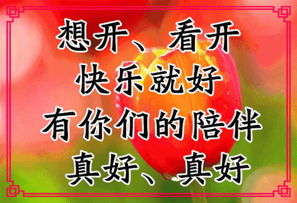 朋友无需十全真诚就好知己无需十美懂得就好