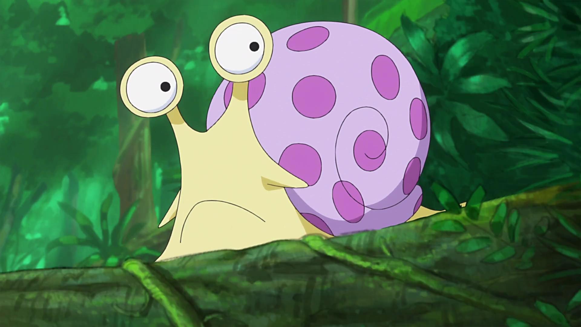 海贼王中最神奇的生物,通话,拍照样样精通,撑起了海贼王传媒界_电话