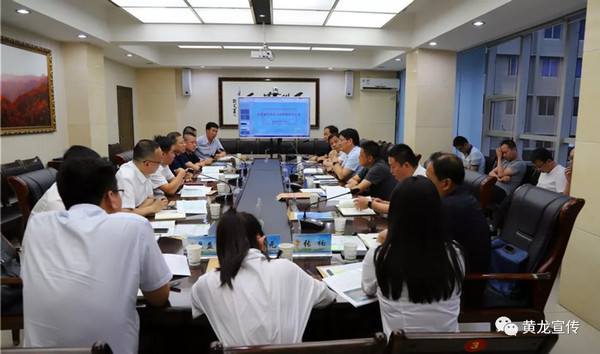 案,黄龙县文化旅游产业园区管委会主任徐选潮介绍了国际风车小镇项目