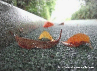 绵阳今晚暴雨来袭,周末又是雨雨雨!还有三个坏消息._阵雨