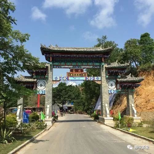 大开大合易武丁家寨