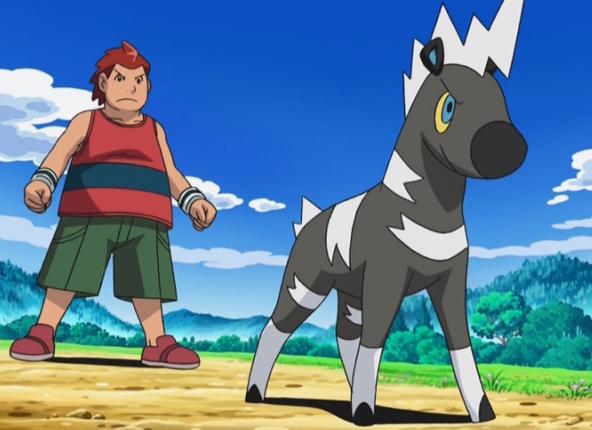 精灵宝可梦图鉴522可以靠鬃毛发光和同伴交流斑斑马