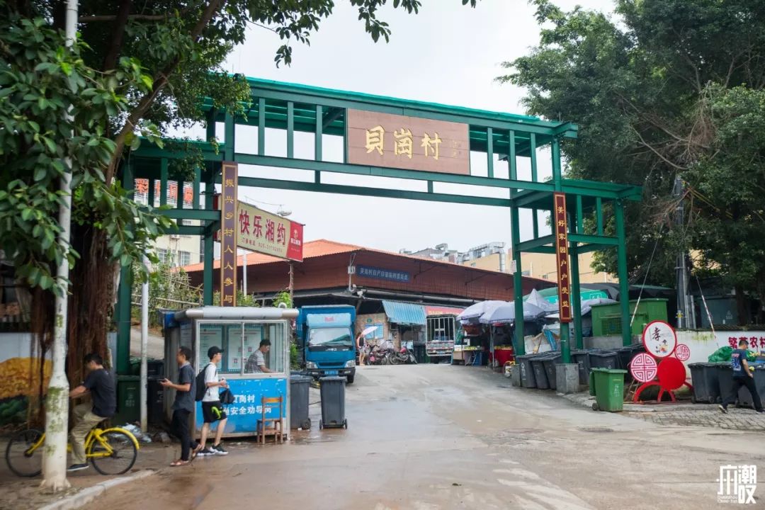 再见了广州大学城