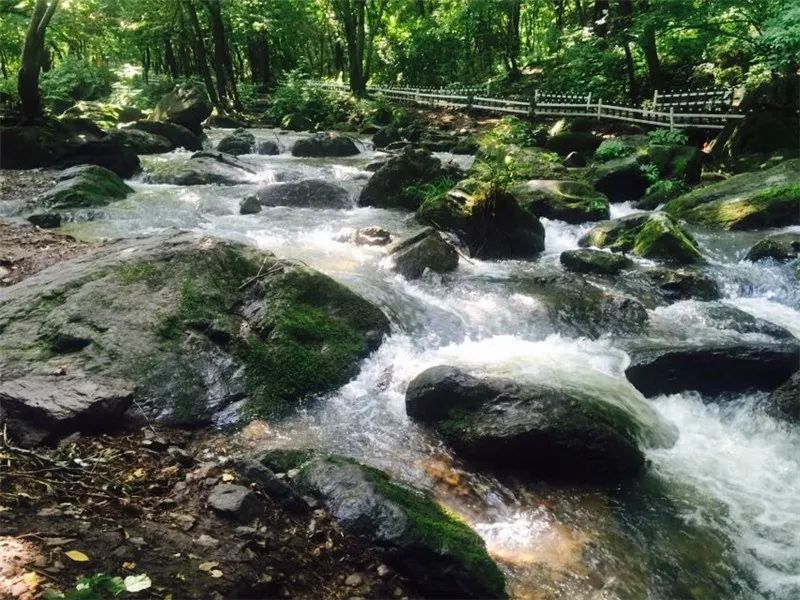 香爐山國家森林公園聯手打造的2019