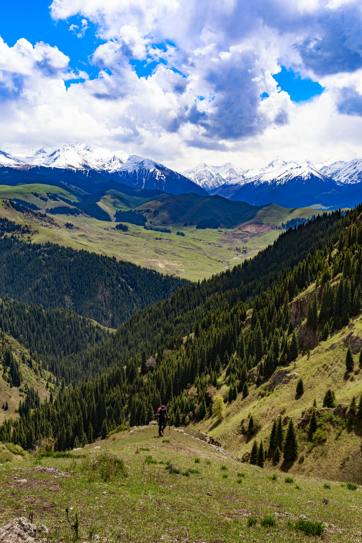 新疆伊犁喀拉峻徒步|1日4季5大草原6天穿越120公里(原创路线攻略 实拍