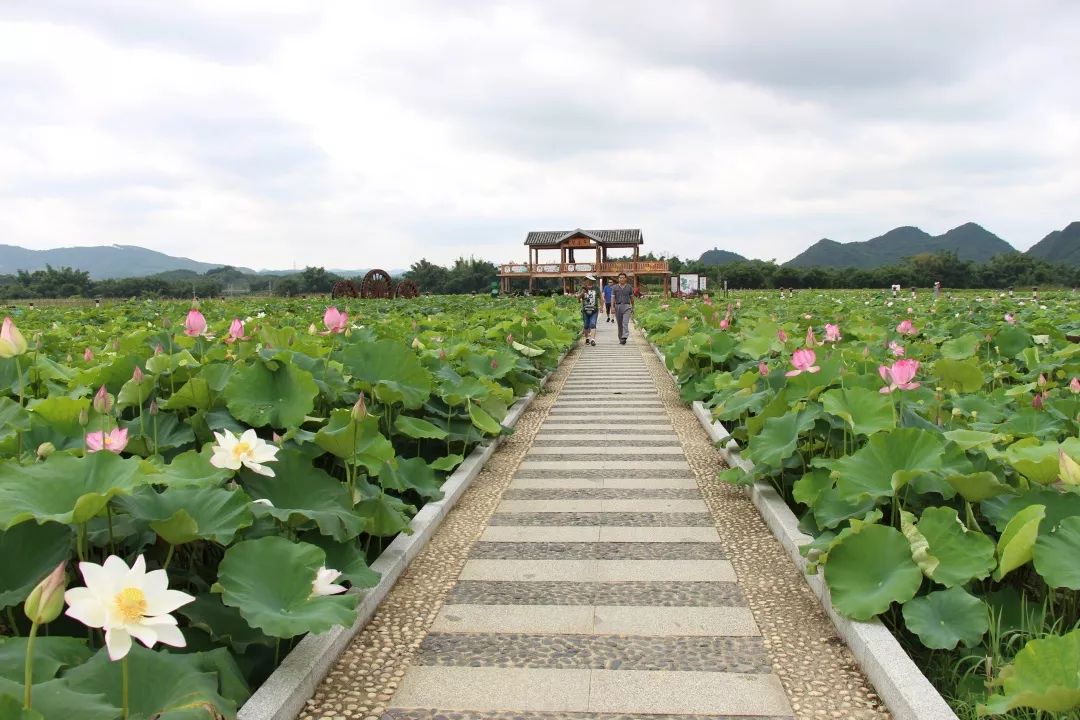 桂林莲花源步道图片