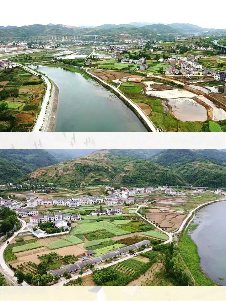 发现│田园池河(航拍组图)