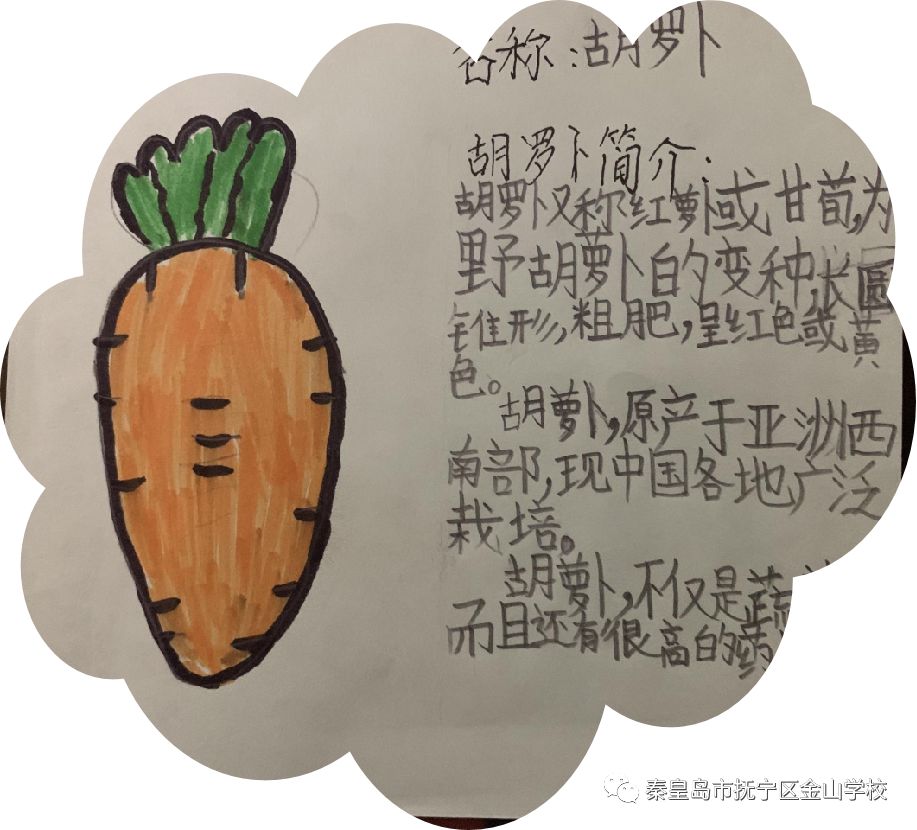 小学生制作蔬菜名片图片