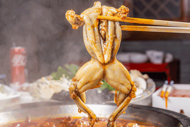 牛蛙 18元/只每日现杀的牛蛙,只只都是个顶个的大,不愧是"游泳健将"