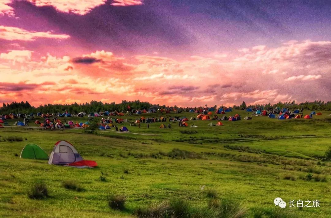 高山草原露营节开幕在即,诸多福利一键开启!