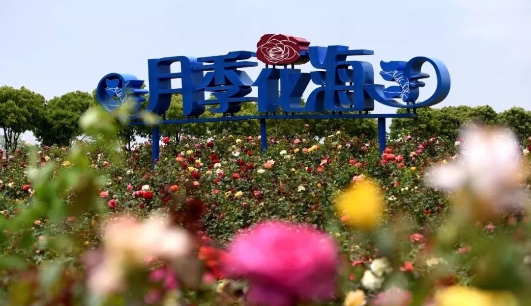 父亲节▎大手拉小手牛角大圩欢乐游