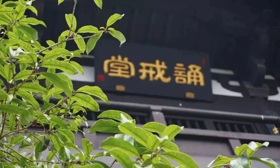 621国际瑜伽日我们相约黄山禅修止语禅坐出坡斋饭