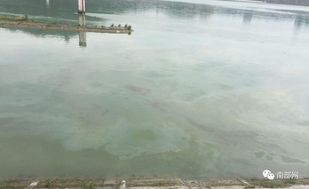 追责南部母亲河嘉陵江今天被大面积污染