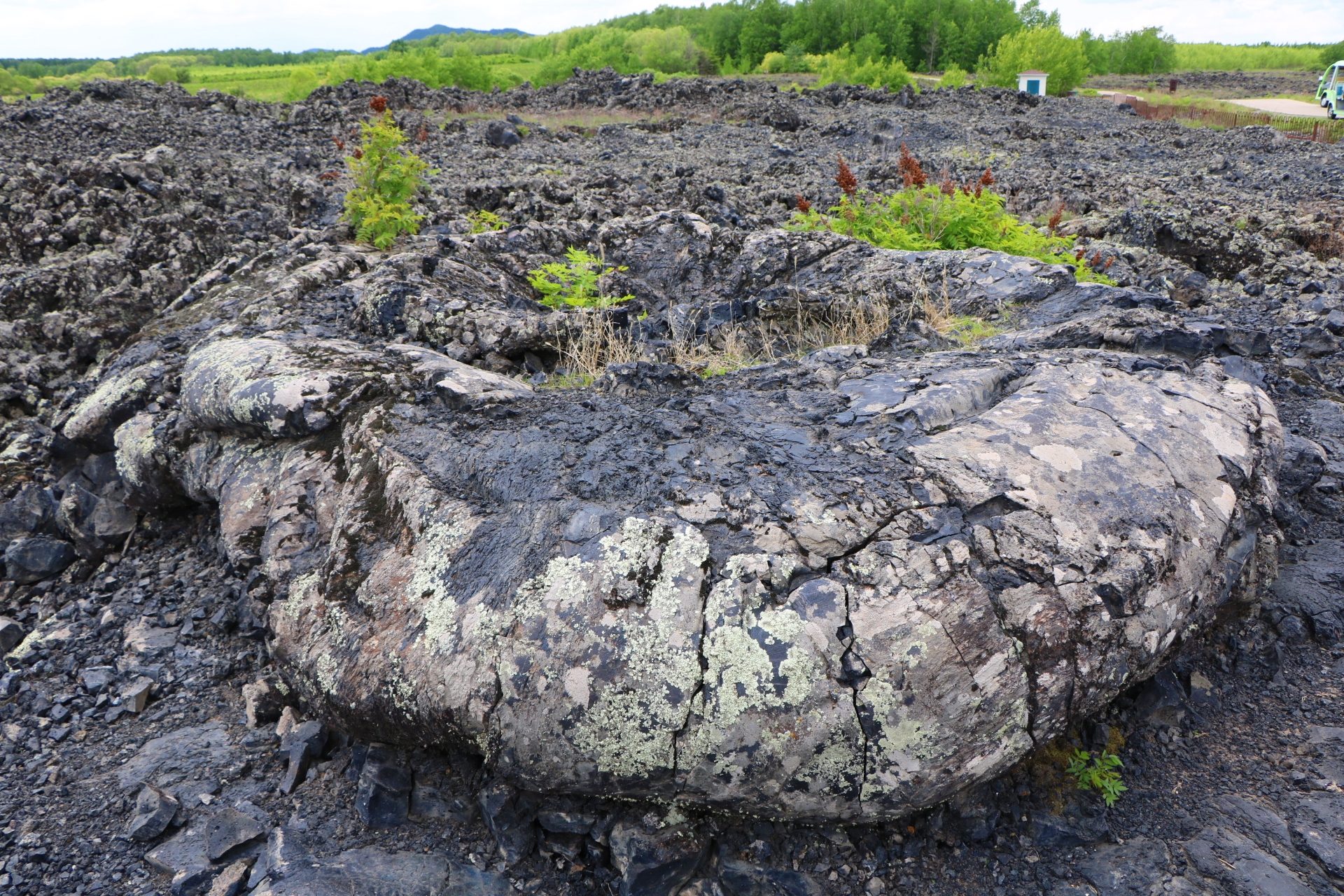 没有滤镜的五大连池火山地貌气势磅礴景象万千