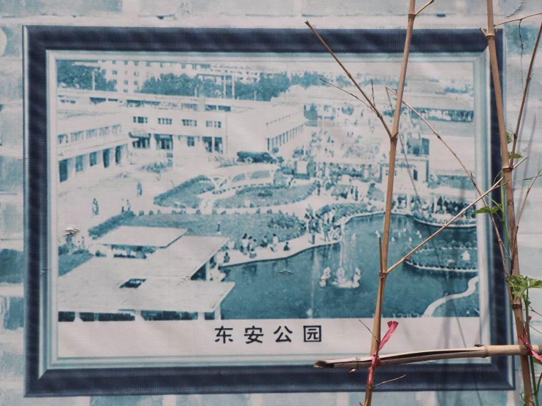 老天桥公园,拍了一些照片,我想这些画面,只有老廊坊人最能体味其中