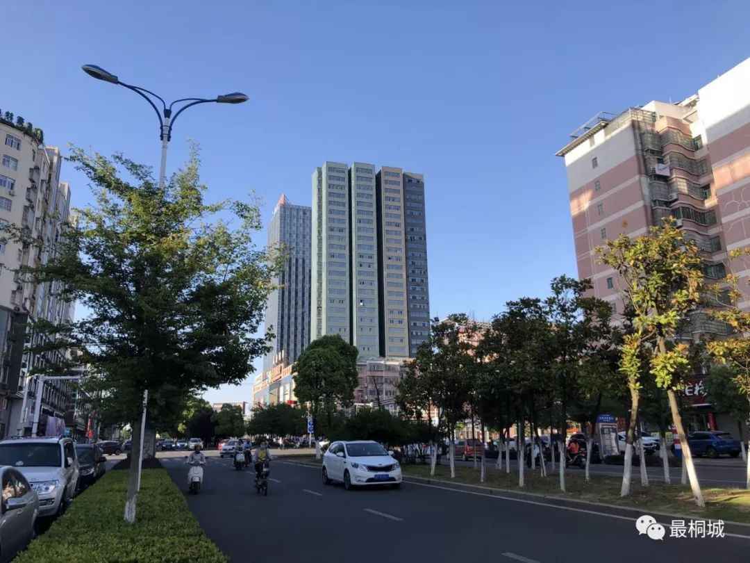 看点2018年度桐城市经济新闻人物评选活动初选结果揭晓