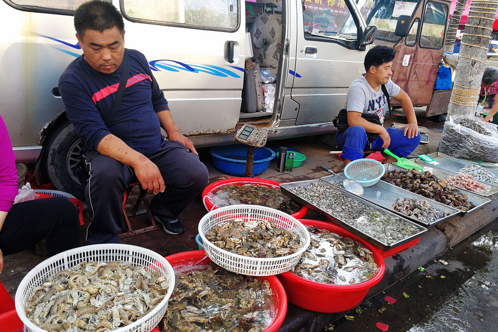 菜市场海鲜销售难鲜活皮皮虾养殖虾便宜也不好卖